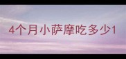 4个月小萨摩吃多少