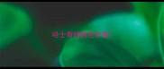 哈士奇啥颜色好看