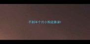 不到半个月小狗流鼻涕