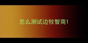 怎么测试边牧智商