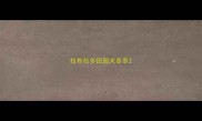 拉布拉多田园犬串串