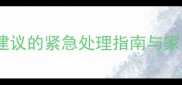 狗狗频繁呕吐怎么办兽医建议的紧急处理指南与家庭护理方法附保命技巧