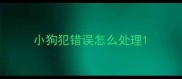 小狗犯错误怎么处理