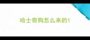 哈士奇狗怎么来的
