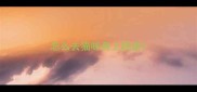 怎么去猫咪身上跳蚤