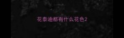 花泰迪都有什么花色