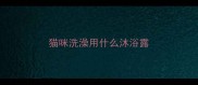 猫咪洗澡用什么沐浴露