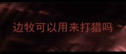 边牧可以用来打猎吗