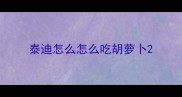 泰迪怎么怎么吃胡萝卜