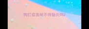 狗打疫苗就不得脑炎吗