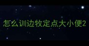 怎么训边牧定点大小便