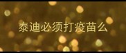 泰迪必须打疫苗么