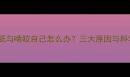 猫咪频繁舔舐与啃咬自己怎么办三大原因与科学应对指南