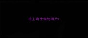 哈士奇生病的照片