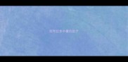 拉布拉多中暑拉肚子