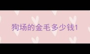 狗场的金毛多少钱