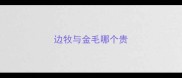 边牧与金毛哪个贵