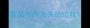 宜昌市内走失的边牧