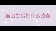 猫出生后打什么疫苗