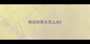 狗边牧骨头怎么办