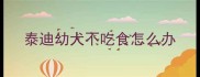 泰迪幼犬不吃食怎么办