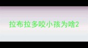 拉布拉多咬小孩为啥