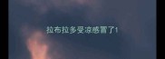 拉布拉多受凉感冒了