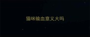 猫咪输血意义大吗