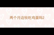 两个月边牧吃鸡蛋吗