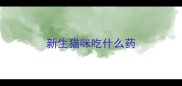 新生猫咪吃什么药