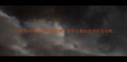 比熊犬6个月体重标准图解新手必看幼犬饲养全攻略