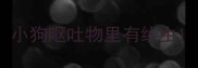 小狗呕吐物里有线虫