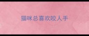 猫咪总喜欢咬人手