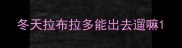 冬天拉布拉多能出去遛嘛