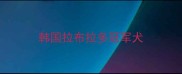 韩国拉布拉多冠军犬
