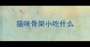 猫咪骨架小吃什么
