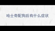 哈士奇配狗后有什么症状