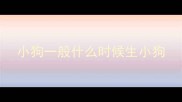 小狗一般什么时候生小狗