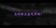 怎样除去金毛异味
