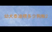 幼犬泰迪喂多少狗粮
