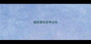 超级登陆冠军边牧