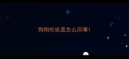 狗狗吃纸是怎么回事