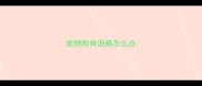 宠物狗有泪痕怎么办