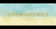 怎样判断纯种拉布拉多