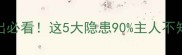 没打疫苗的狗外出必看这5大隐患90主人不知道速存避坑指南