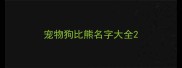 宠物狗比熊名字大全