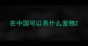 在中国可以养什么宠物