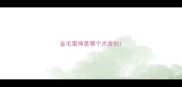 金毛雷神是哪个犬舍的