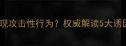 猫咪绝育后突然出现攻击性行为权威解读5大诱因及科学干预方案