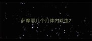 萨摩耶几个月体内除虫